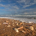 Baliharichandi Beach