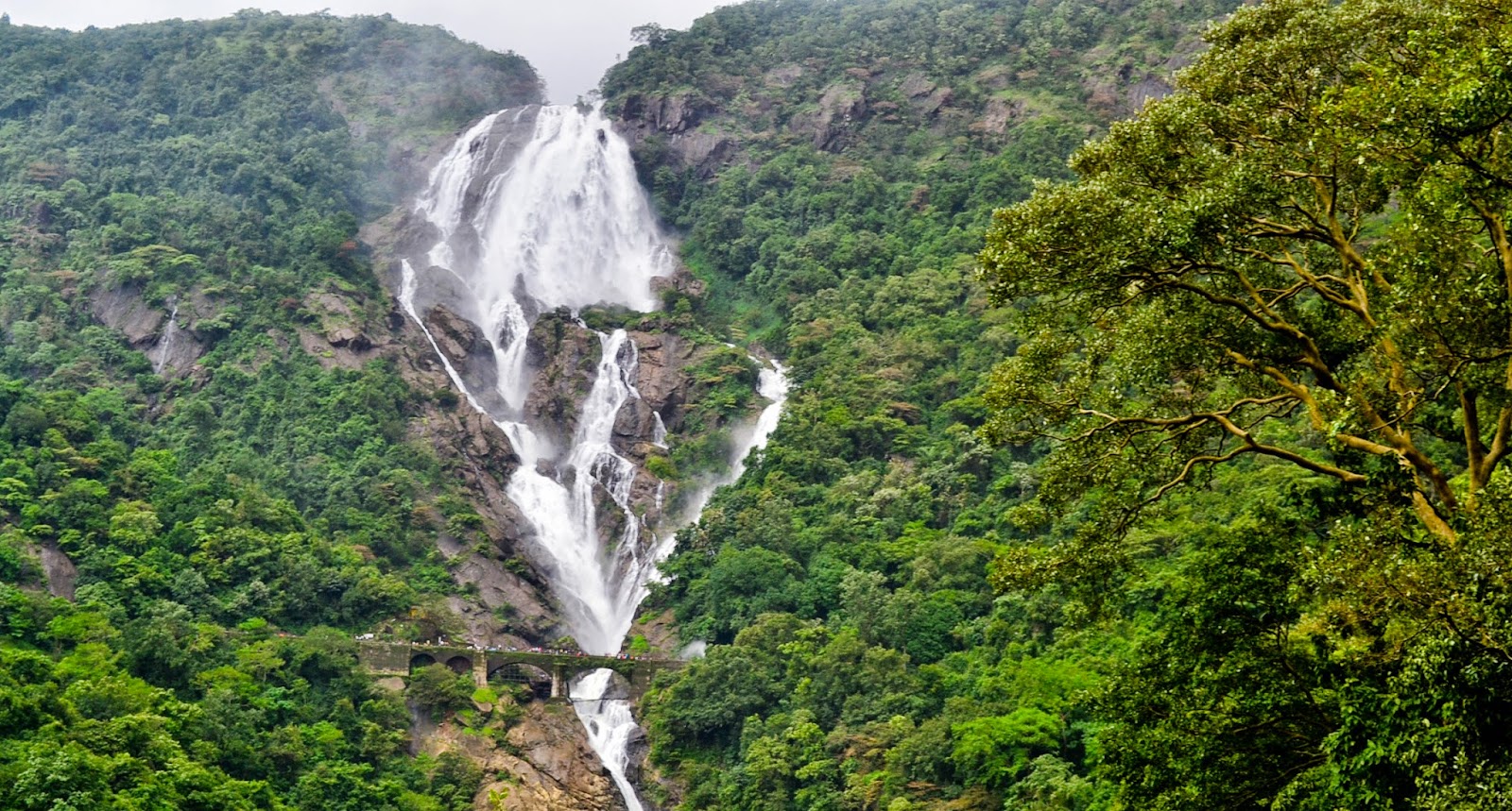 Trek at the Dusdhsagar lake