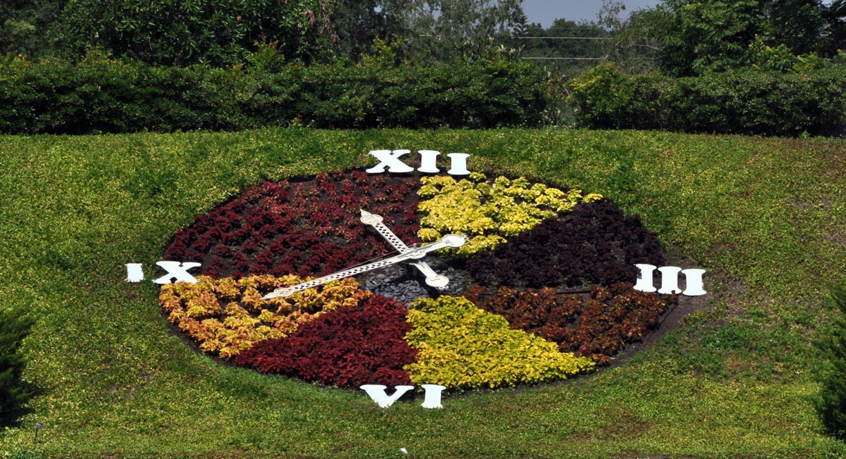 1Floral-Clock1