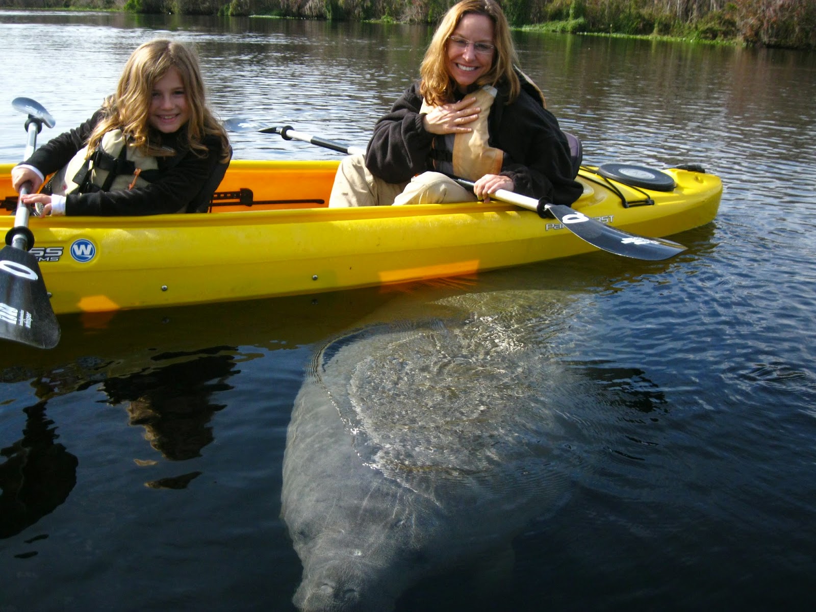 Kayak Eco-Tour