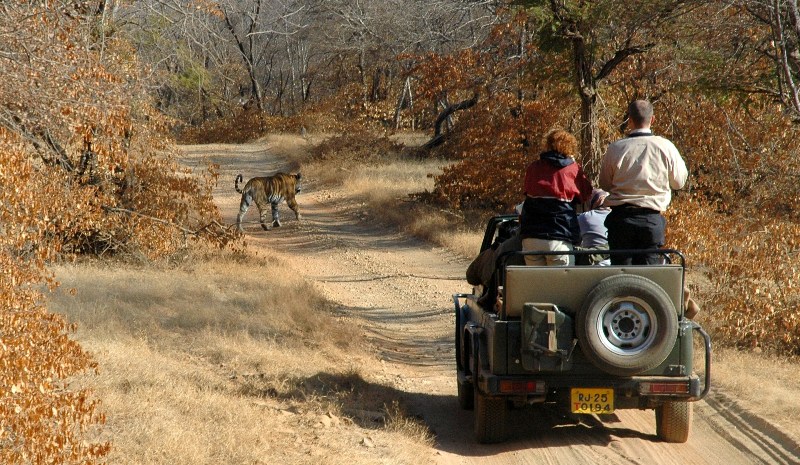 ranthambore-jeepsafari-big