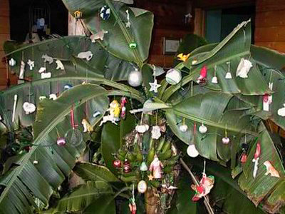 mango-xmas-tree