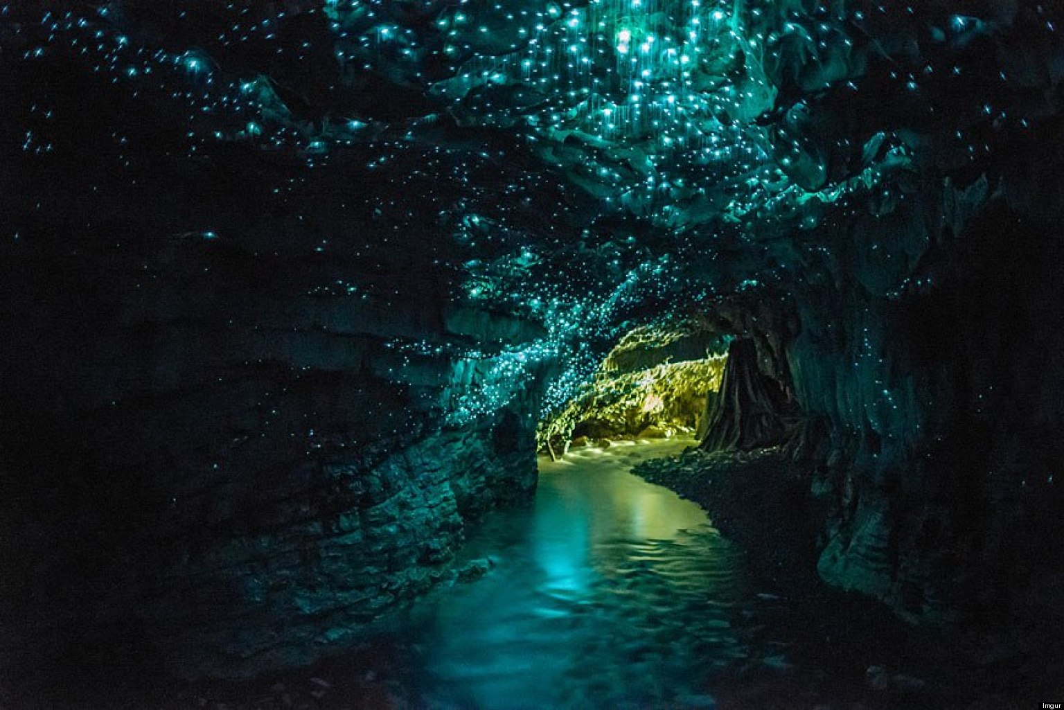 GLOWWORM-CAVES