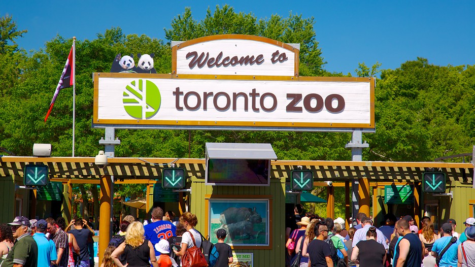 Toronto Zoo - Cheap flights tickets