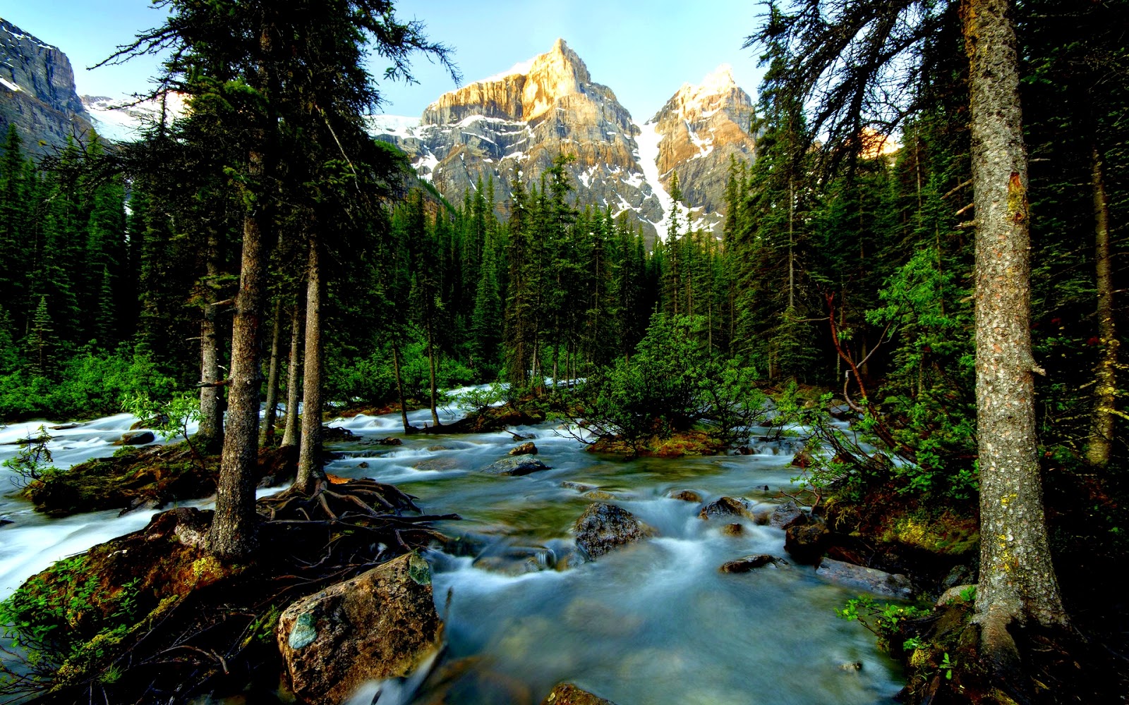 Banff National Park