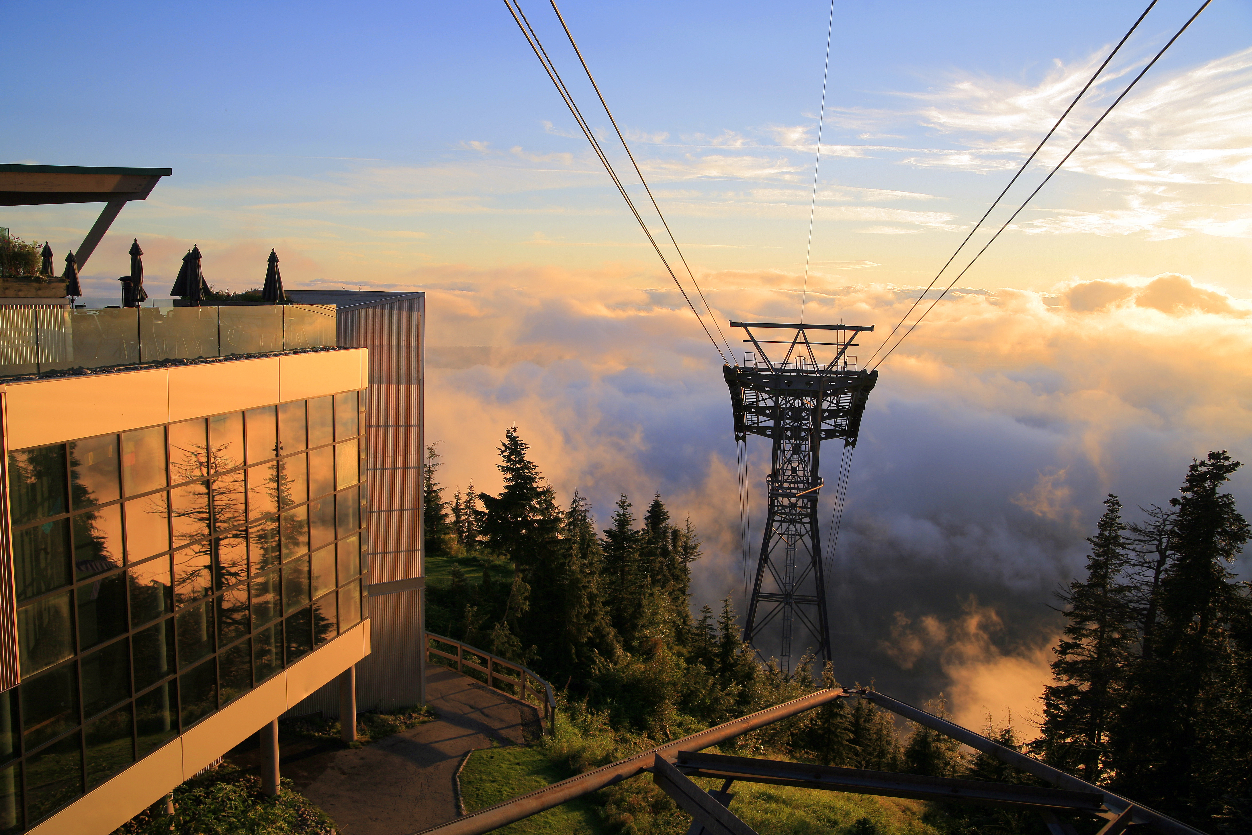 Grouse Mountain’s Dazzling Array