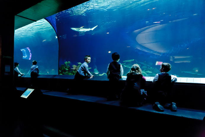 The Vancouver Aquarium