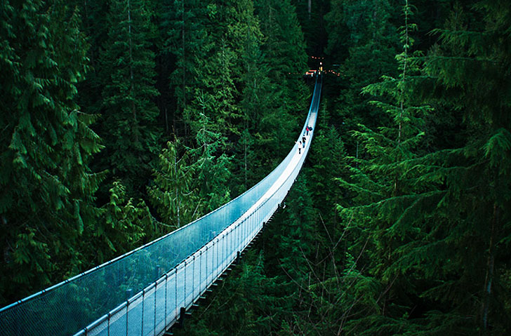 iconic suspension bridge