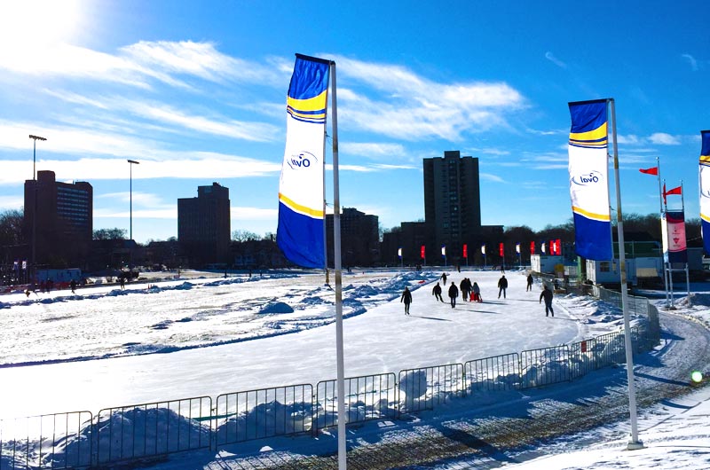 Get Active at Emera Oval