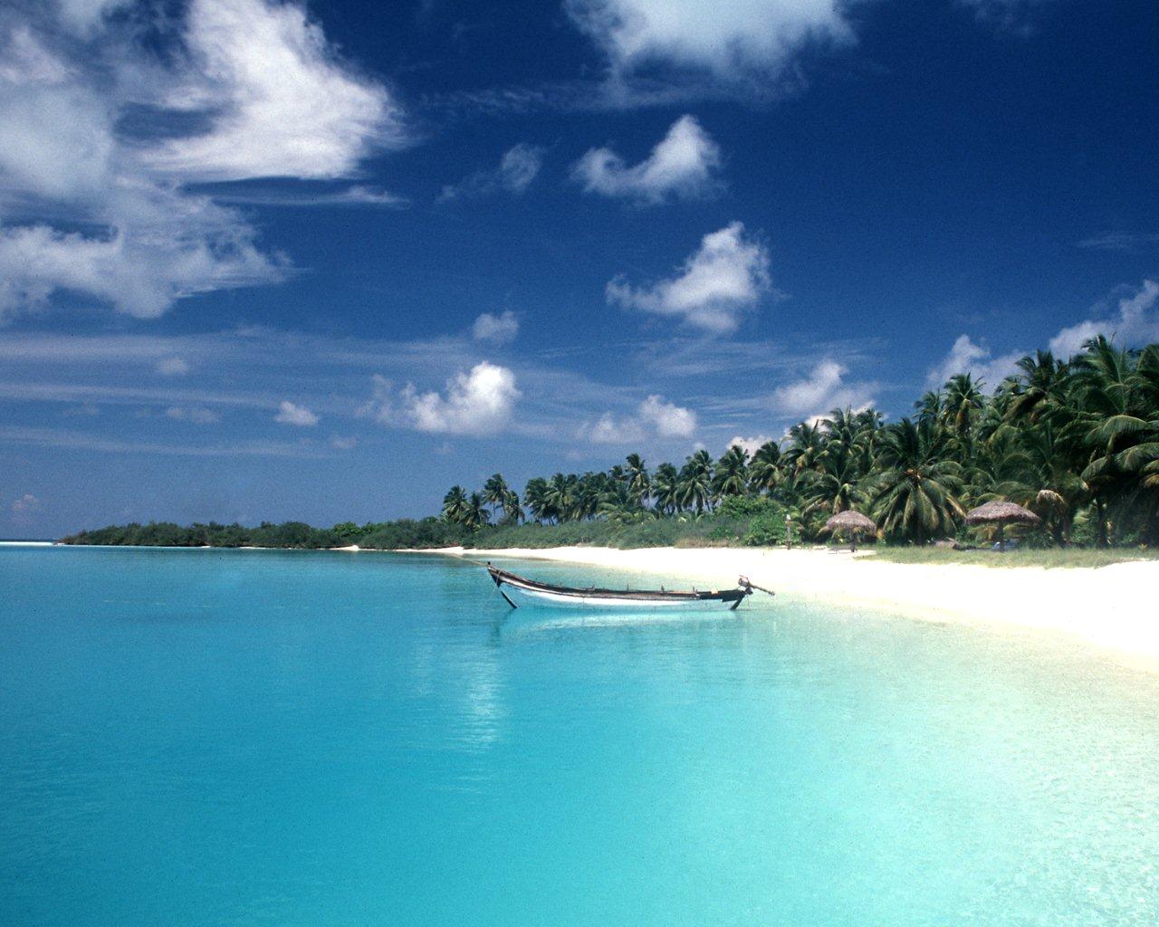 Havelock Islands, Andam