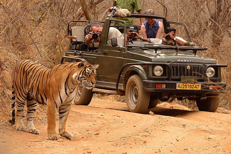 Ranthambore-National-park