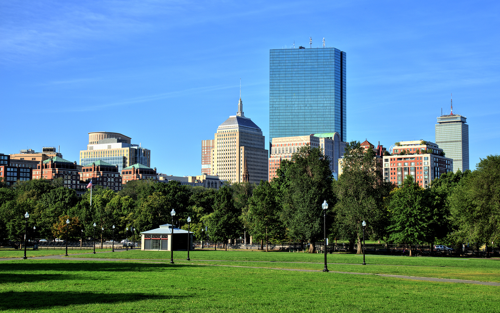 Picnic On The Common