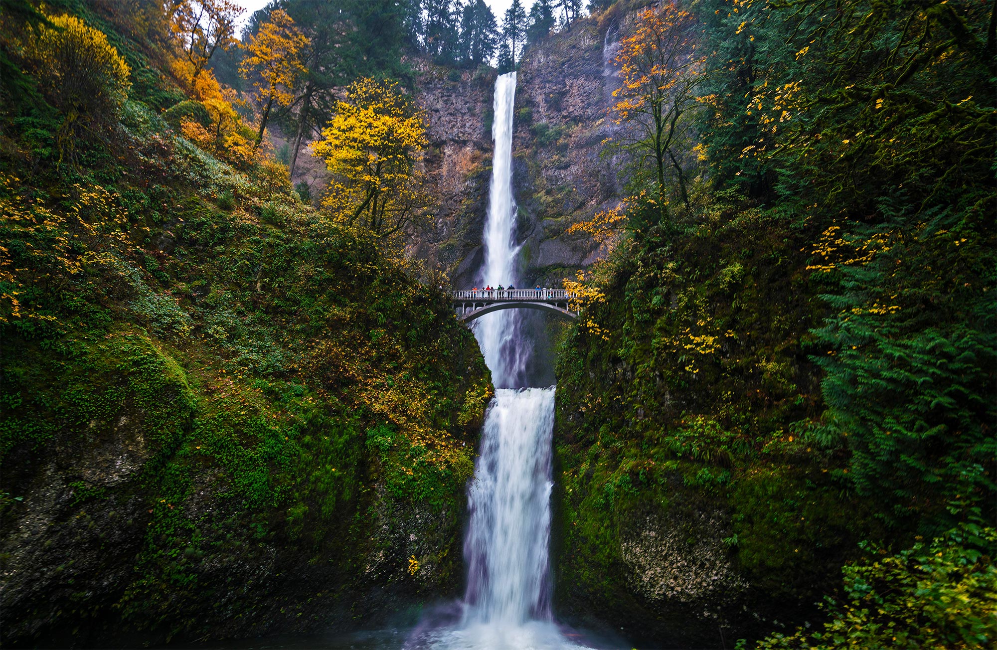 Multnomah falls, Oregon