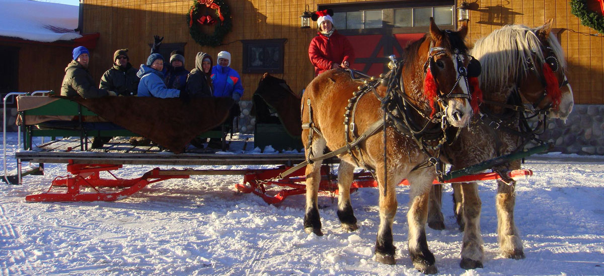 Ride A Horse Sleigh Or Dog Powered Sled