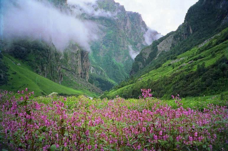 Valley Of Flowers, Uttarakhand