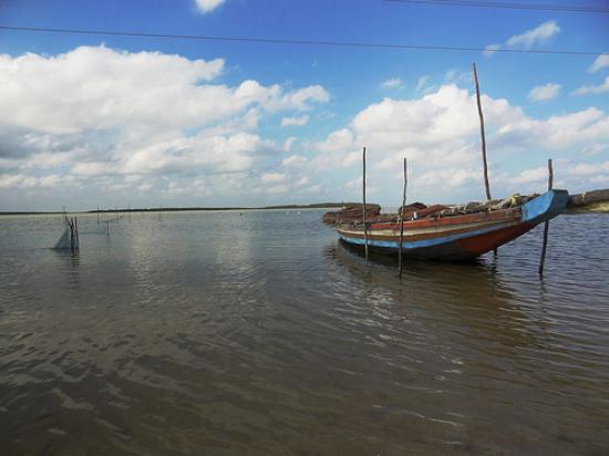 Pulicat Lake