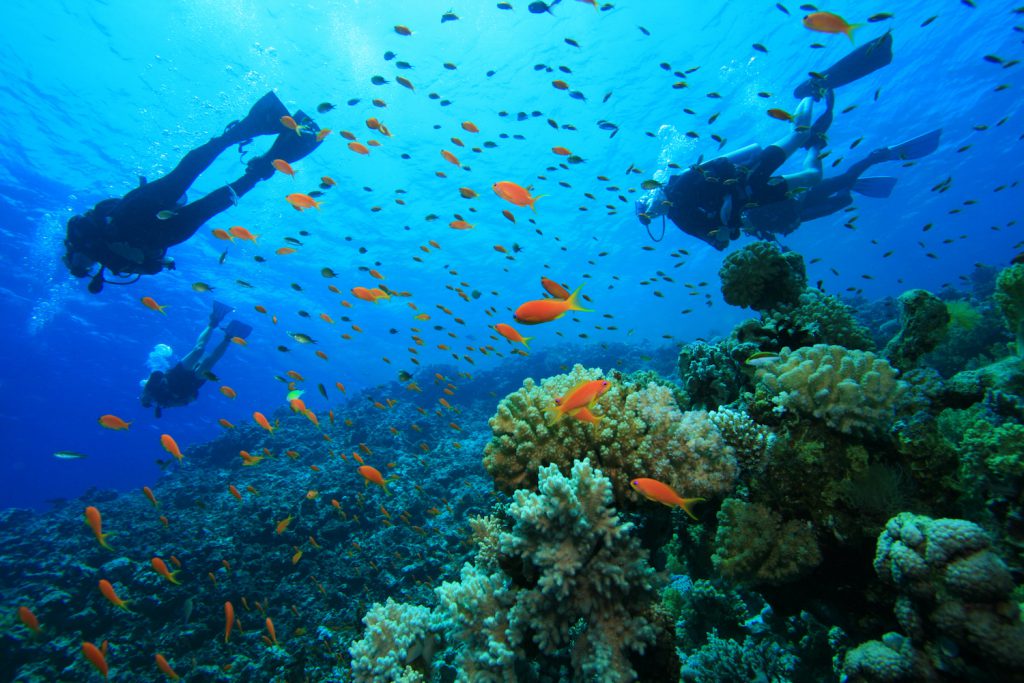 Scuba diving in Andaman