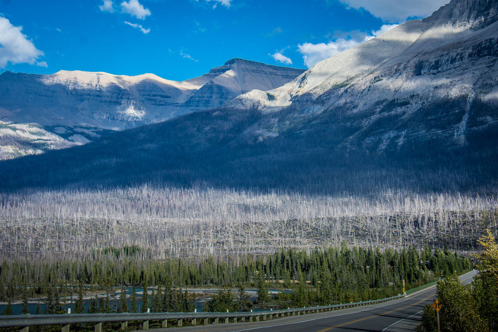 Icefields Parkway