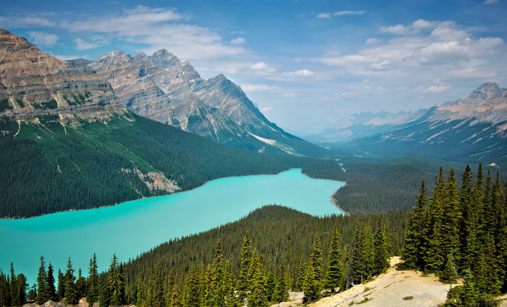 Peyto Lake