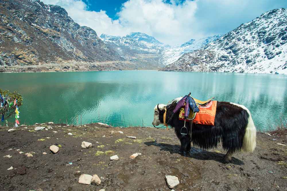 Gangtok