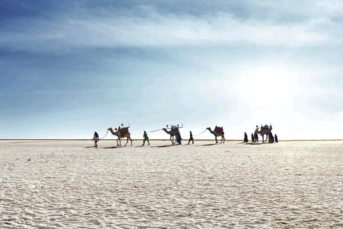 Rann of Kutch india