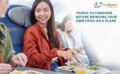 Things to Consider Before Bringing Your Own Food on a Plane|business class