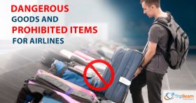 items not allowed on domestic flights, what items are not allowed in checked luggage, things not allowed in indigo flight, what is allowed in checked baggage for international flights, restricted items, air india restricted items,