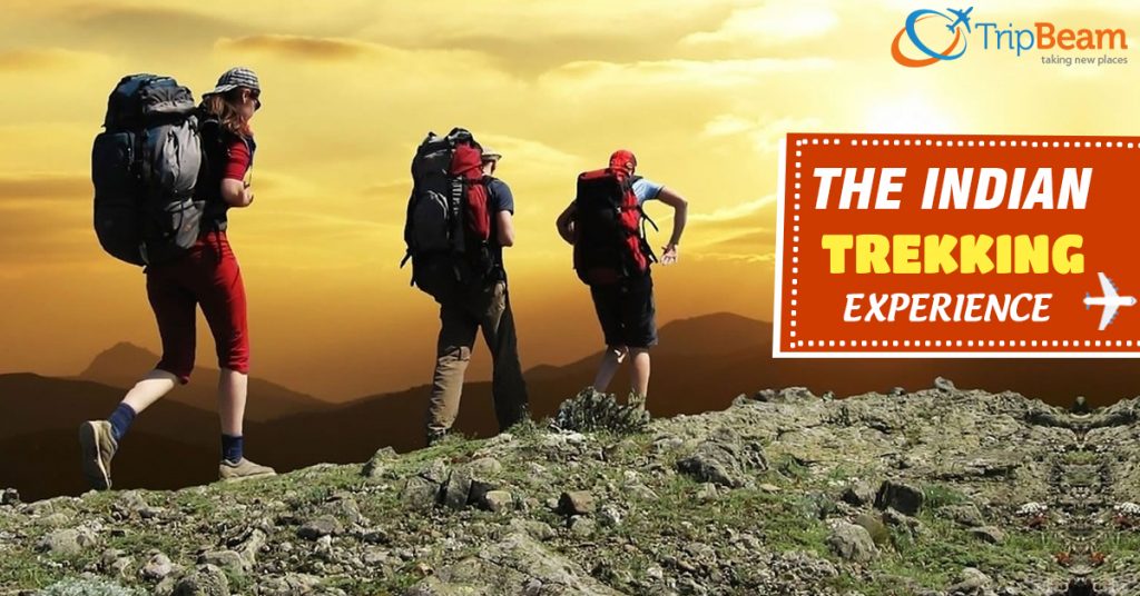 7 Most Exciting Trekking Destination Tours In India Tripbeam 1392