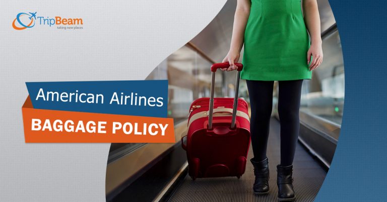 american airlines baggage policy first class