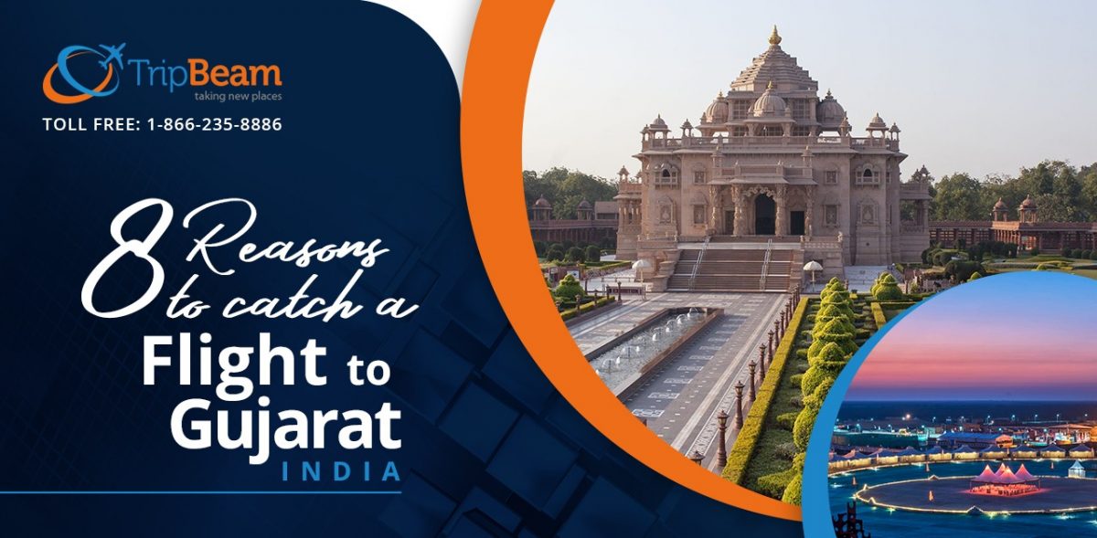 8 Reasons To Catch A Flight To Gujarat, India - TripBeam Blog