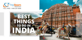 Best Things to Do in India