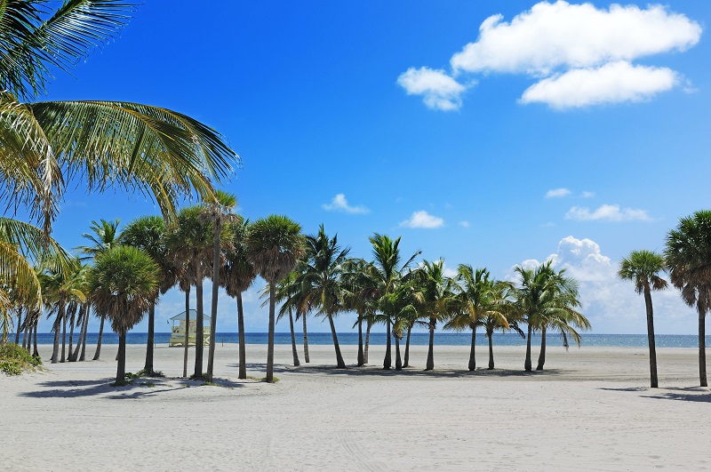 The Crandon Park