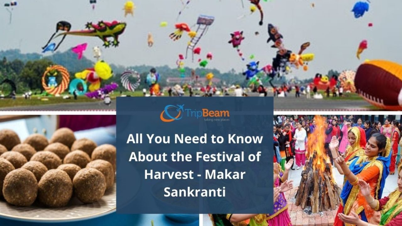 Makara Sankranthi - harvest festival for farmers : A medical perspective -  Health Vision