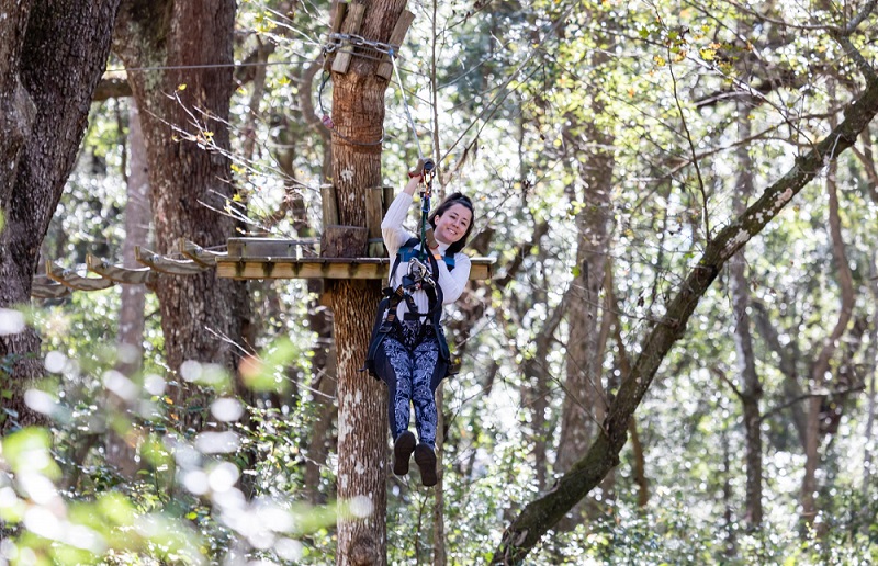 TreeHoppers Aerial Adventures in Pasco County