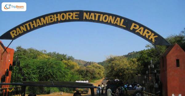 Ranthambore National Park