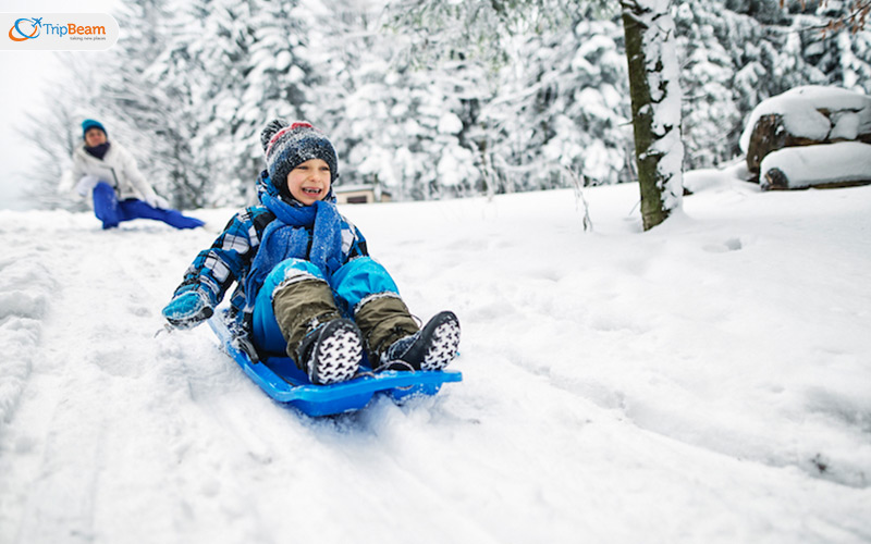 Snow Sledding