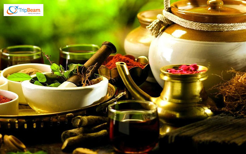 Spices and Ayurvedic Oil from Gods Own Country Kerala