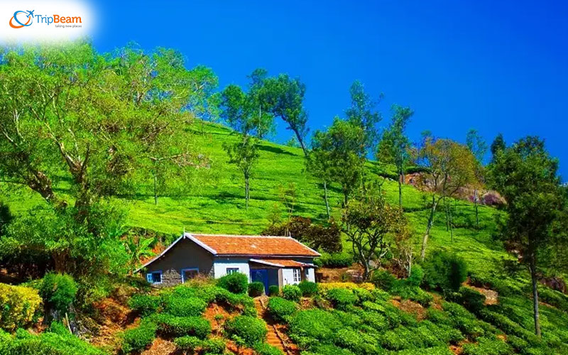 Coonoor in Tamil Nadu