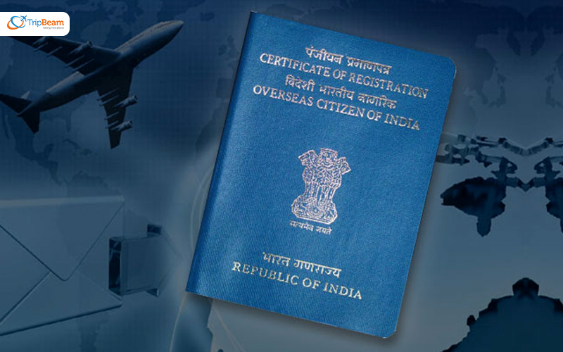 OCI card or an Indian Visitor Visa: An Informative Guide for NRI’s ...