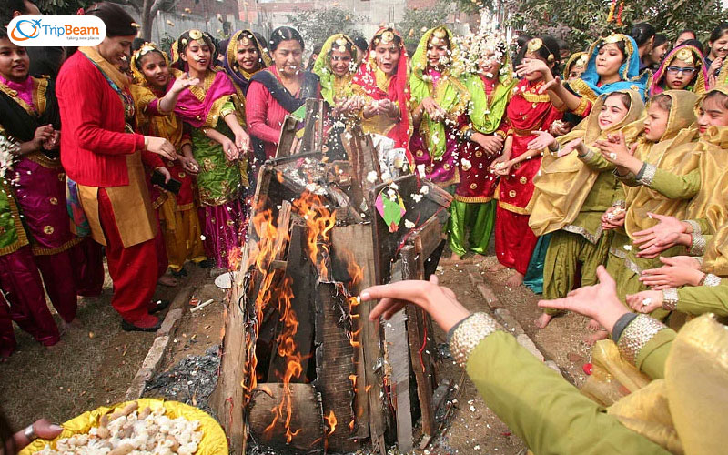 Lohri