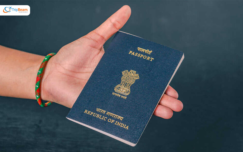 What Is The Tourist VISA For India