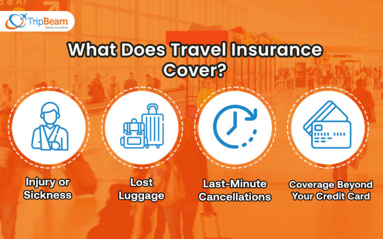 travel insurance policy expert