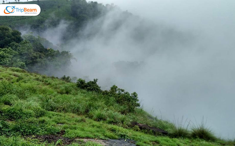 Visit in Valparai