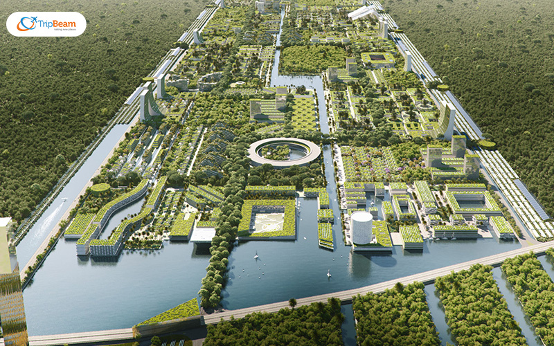 Smart Forest City Mexico