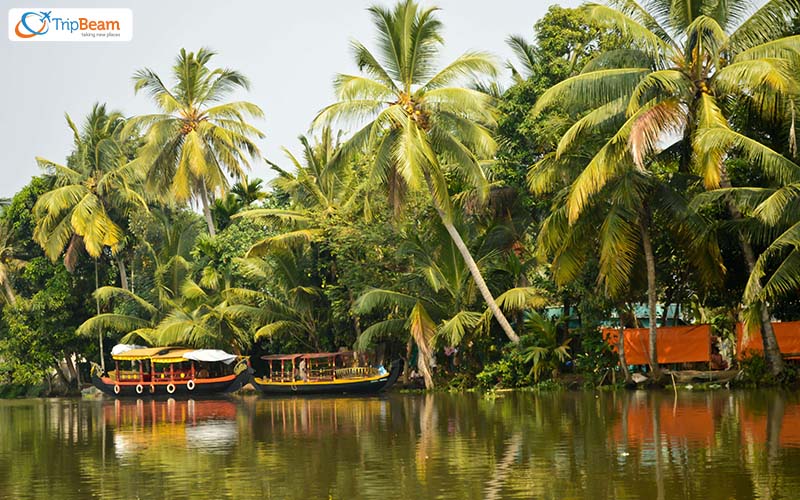 Kerala Backwaters Stillness in the Lap of Nature