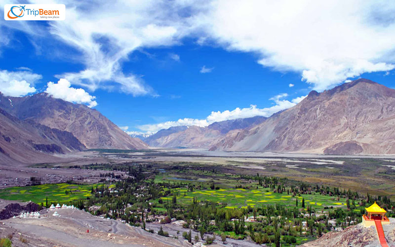 Ladakh Jammu and Kashmir A Land of Heavenly Grace