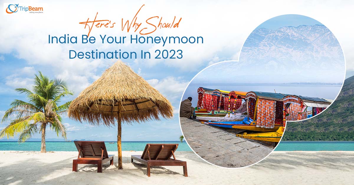 Here’s Why Should India Be Your Honeymoon Destination In 2023