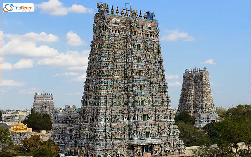 Tiruvannamalai Tamil Nadu