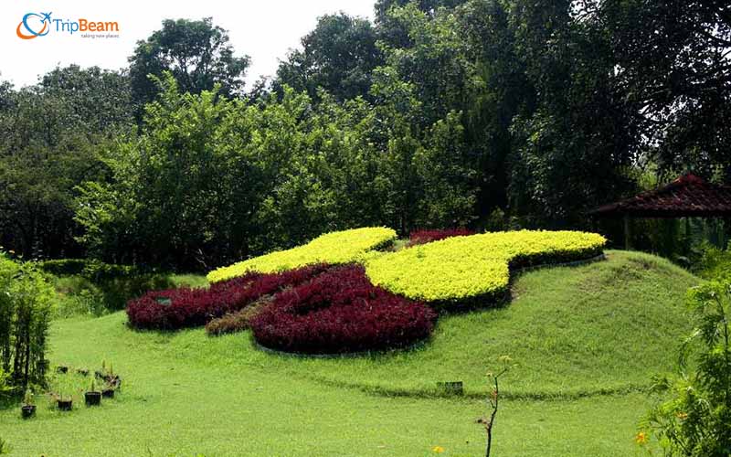 butterfly park chandigarh