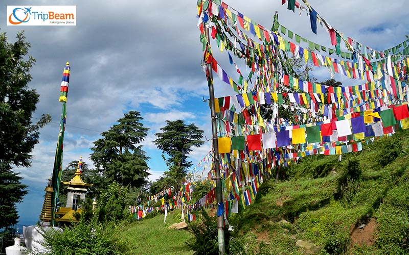 Dharamshala Monastic Life